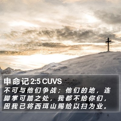 申 命 记 2:5 CUVS Bible Verse Image