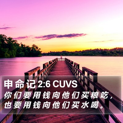 申 命 记 2:6 CUVS Bible Verse Image