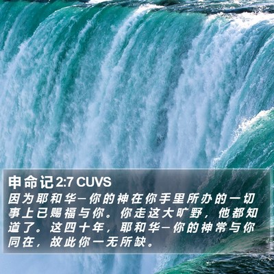 申 命 记 2:7 CUVS Bible Verse Image