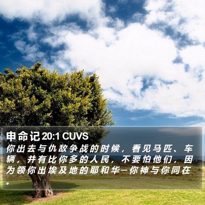 申 命 记 20:1 CUVS Bible Verse Image