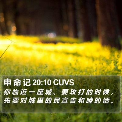 申 命 记 20:10 CUVS Bible Verse Image