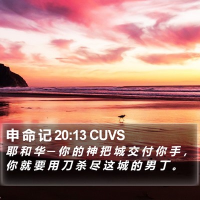 申 命 记 20:13 CUVS Bible Verse Image