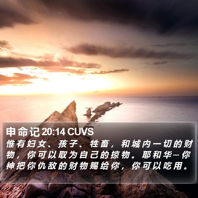 申 命 记 20:14 CUVS Bible Verse Image