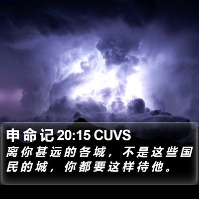 申 命 记 20:15 CUVS Bible Verse Image