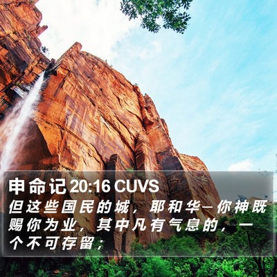 申 命 记 20:16 CUVS Bible Verse Image