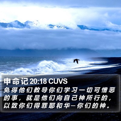 申 命 记 20:18 CUVS Bible Verse Image