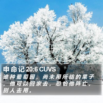 申 命 记 20:6 CUVS Bible Verse Image