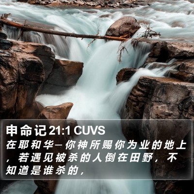 申 命 记 21:1 CUVS Bible Verse Image