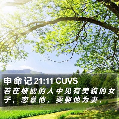 申 命 记 21:11 CUVS Bible Verse Image