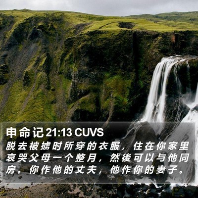 申 命 记 21:13 CUVS Bible Verse Image