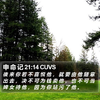 申 命 记 21:14 CUVS Bible Verse Image