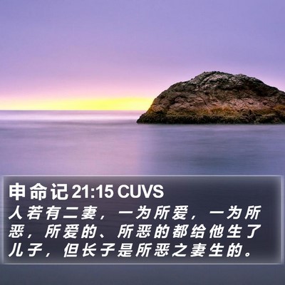 申 命 记 21:15 CUVS Bible Verse Image