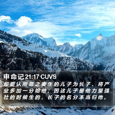申 命 记 21:17 CUVS Bible Verse Image