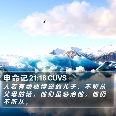 申 命 记 21:18 CUVS Bible Verse Image