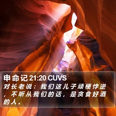 申 命 记 21:20 CUVS Bible Verse Image