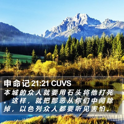 申 命 记 21:21 CUVS Bible Verse Image