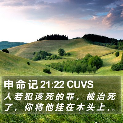 申 命 记 21:22 CUVS Bible Verse Image