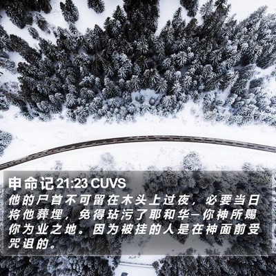 申 命 记 21:23 CUVS Bible Verse Image