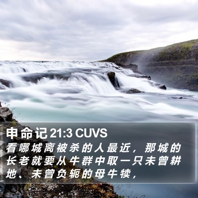 申 命 记 21:3 CUVS Bible Verse Image