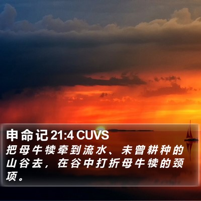 申 命 记 21:4 CUVS Bible Verse Image
