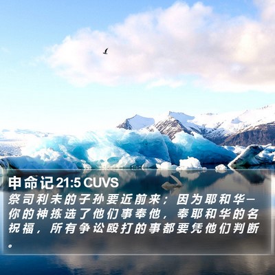 申 命 记 21:5 CUVS Bible Verse Image
