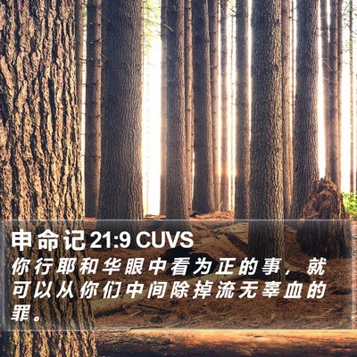 申 命 记 21:9 CUVS Bible Verse Image