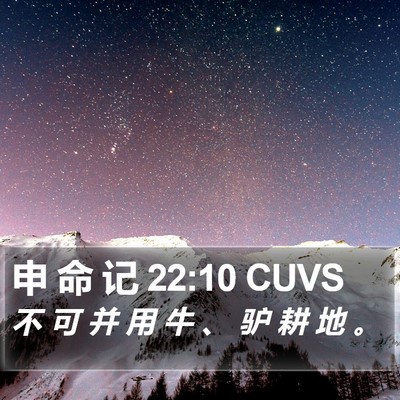 申 命 记 22:10 CUVS Bible Verse Image
