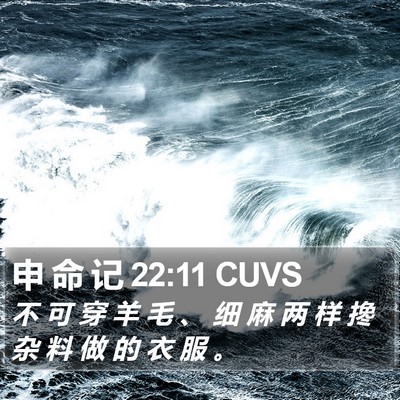 申 命 记 22:11 CUVS Bible Verse Image