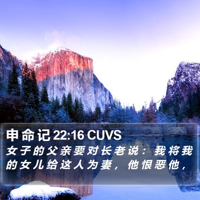 申 命 记 22:16 CUVS Bible Verse Image