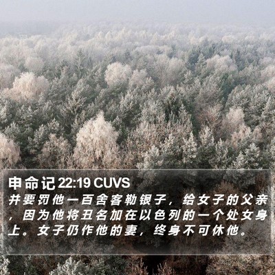 申 命 记 22:19 CUVS Bible Verse Image