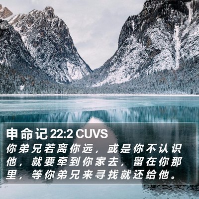申 命 记 22:2 CUVS Bible Verse Image