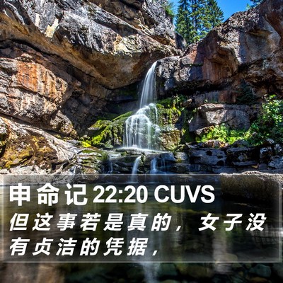 申 命 记 22:20 CUVS Bible Verse Image