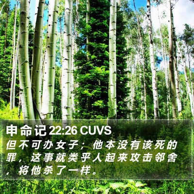 申 命 记 22:26 CUVS Bible Verse Image
