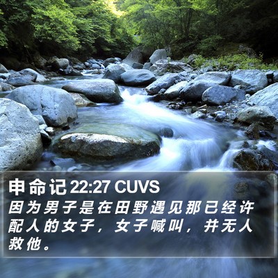 申 命 记 22:27 CUVS Bible Verse Image