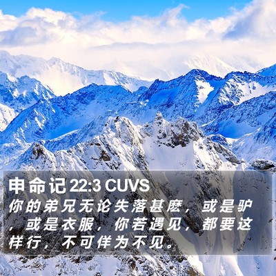 申 命 记 22:3 CUVS Bible Verse Image