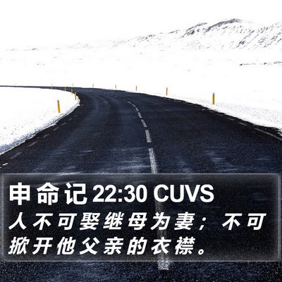 申 命 记 22:30 CUVS Bible Verse Image
