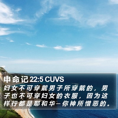 申 命 记 22:5 CUVS Bible Verse Image