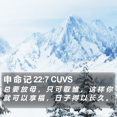 申 命 记 22:7 CUVS Bible Verse Image