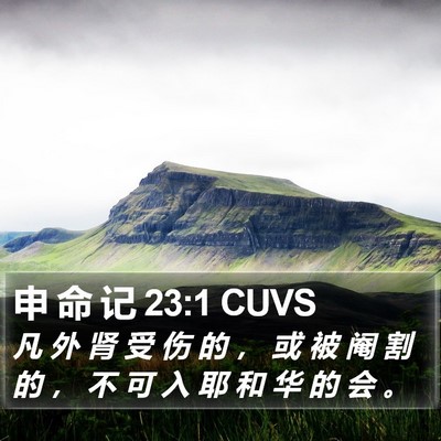 申 命 记 23:1 CUVS Bible Verse Image