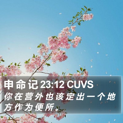 申 命 记 23:12 CUVS Bible Verse Image