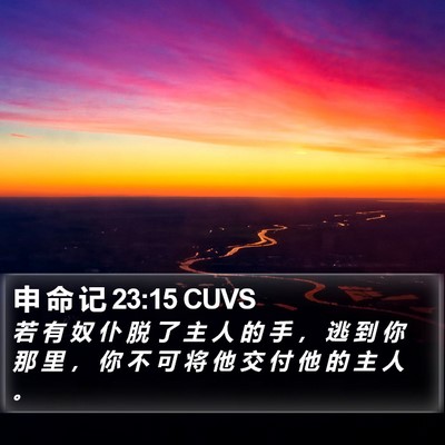 申 命 记 23:15 CUVS Bible Verse Image