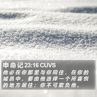 申 命 记 23:16 CUVS Bible Verse Image