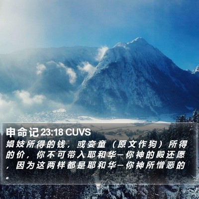 申 命 记 23:18 CUVS Bible Verse Image