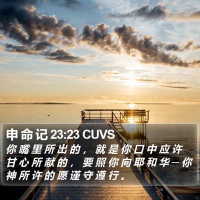 申 命 记 23:23 CUVS Bible Verse Image