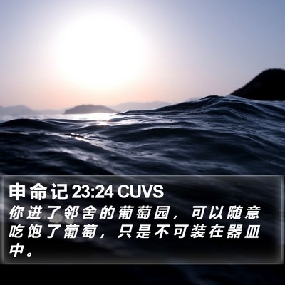 申 命 记 23:24 CUVS Bible Verse Image