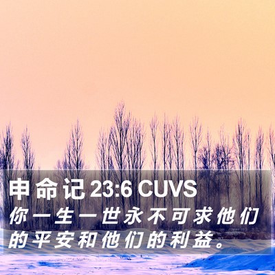 申 命 记 23:6 CUVS Bible Verse Image