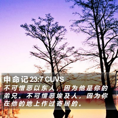 申 命 记 23:7 CUVS Bible Verse Image
