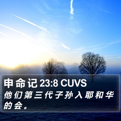 申 命 记 23:8 CUVS Bible Verse Image