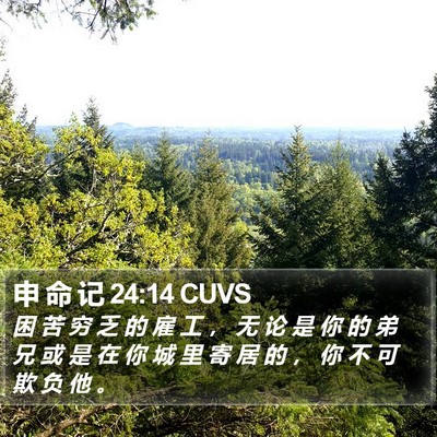 申 命 记 24:14 CUVS Bible Verse Image