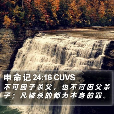 申 命 记 24:16 CUVS Bible Verse Image